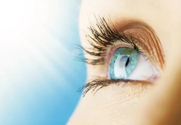 Managing Eye Disease Glaucoma Cataract and Diabetic Retinopathy Experts Houston